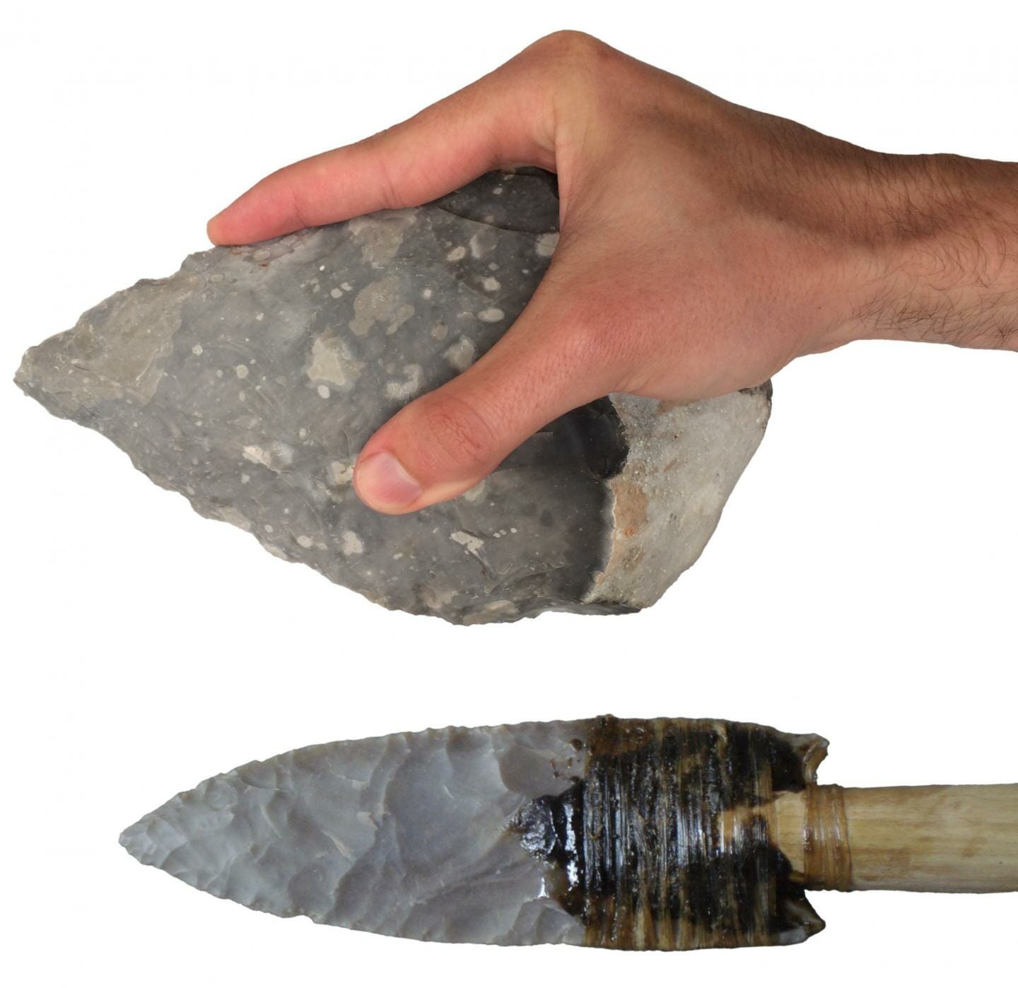 stone tools reveal modern human-like gripping capa